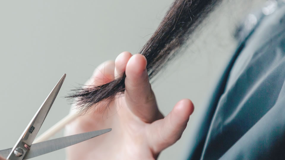 写真：人物